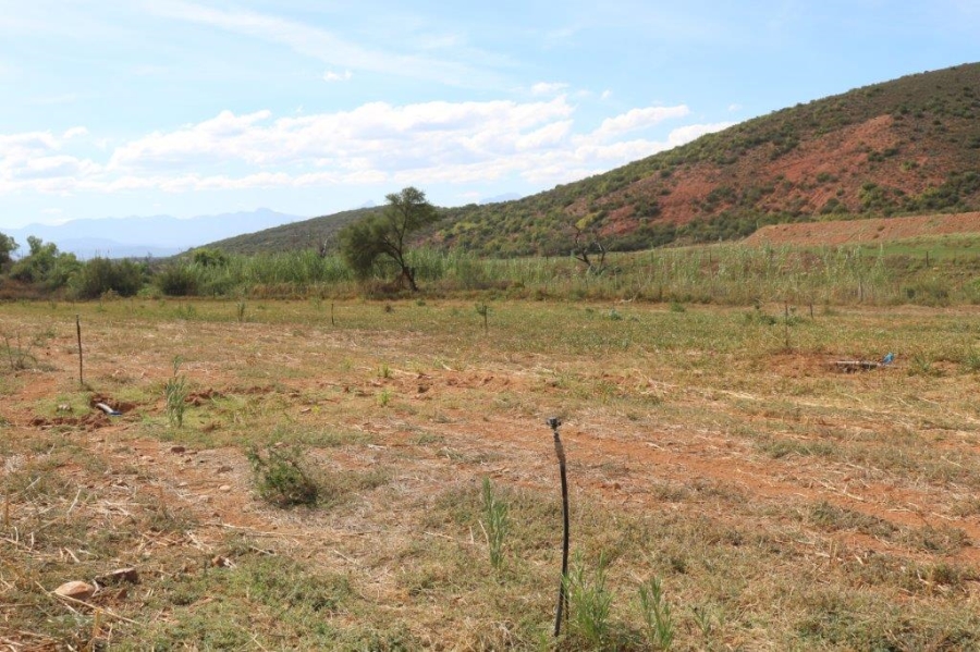Commercial Property for Sale in Oudtshoorn Rural Western Cape